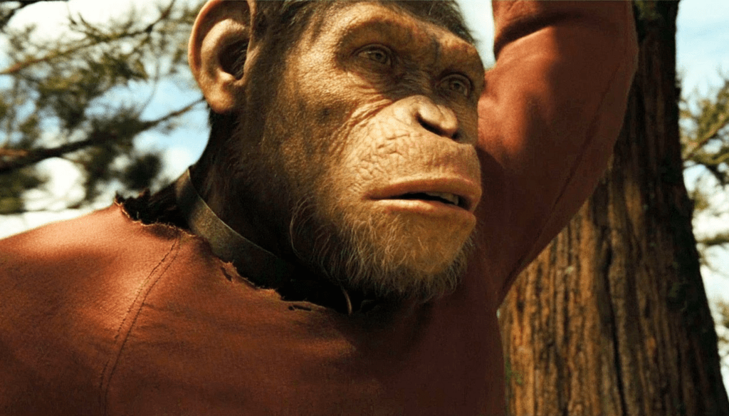 Cesare (Andy Serkis) in una scena di Rise of the Planet of the Apes (2011) di Rupert Wyatt