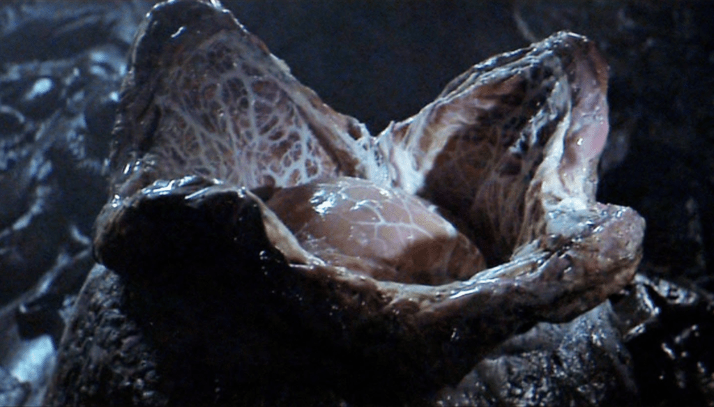 Uovo di Alien in una scena di Alien (1979) di Ridley Scott