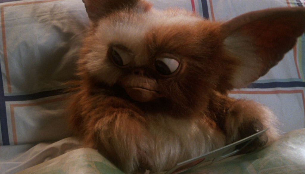 Gizmo in una scena di Gremlins (1984) di Joe Dante