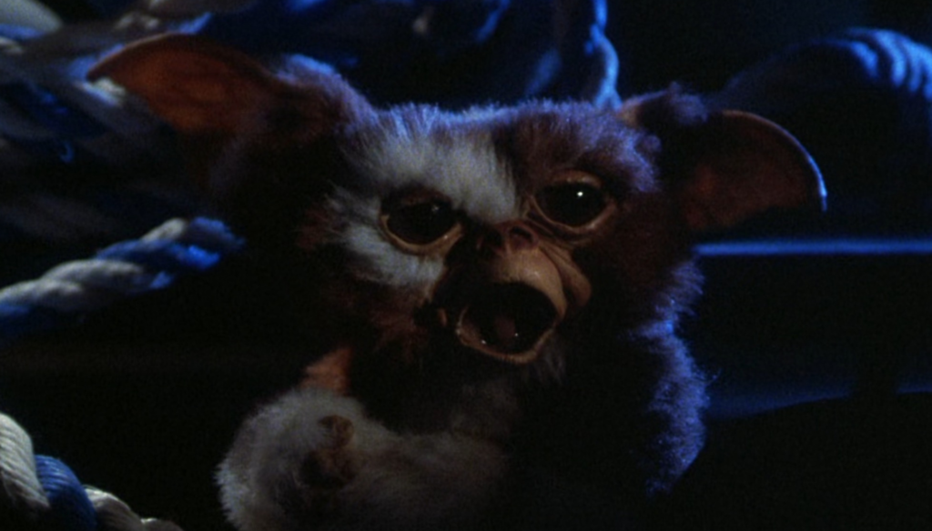 Gizmo in una scena di Gremlins (1984) di Joe Dante